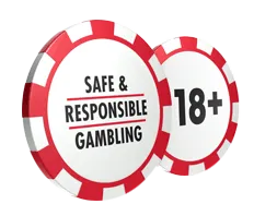 Responsible-Gambling bisoncasino-top1-pl.ink